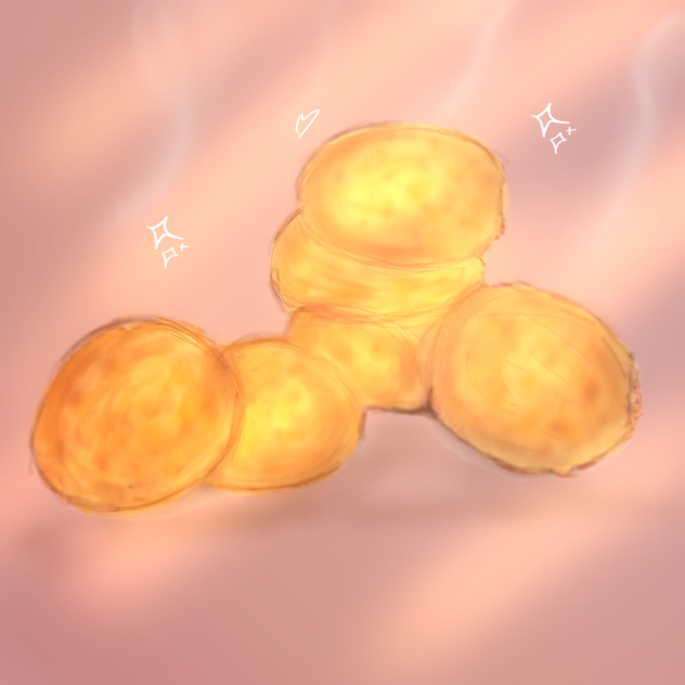 Dunkin’ Donuts hash browns