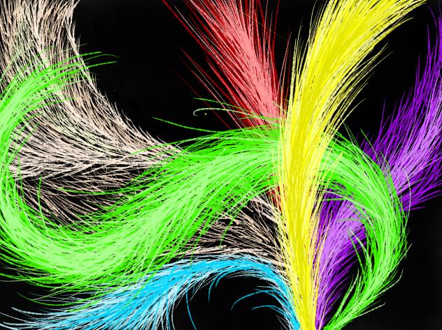 Feather Abstraction
