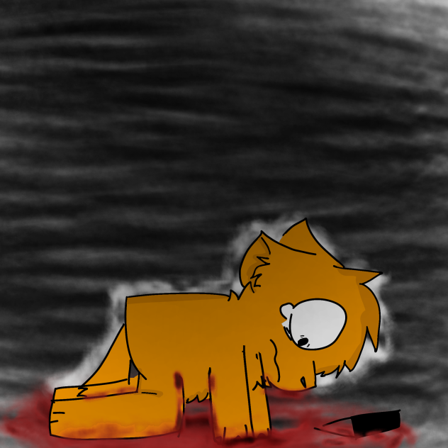 blood in my fur