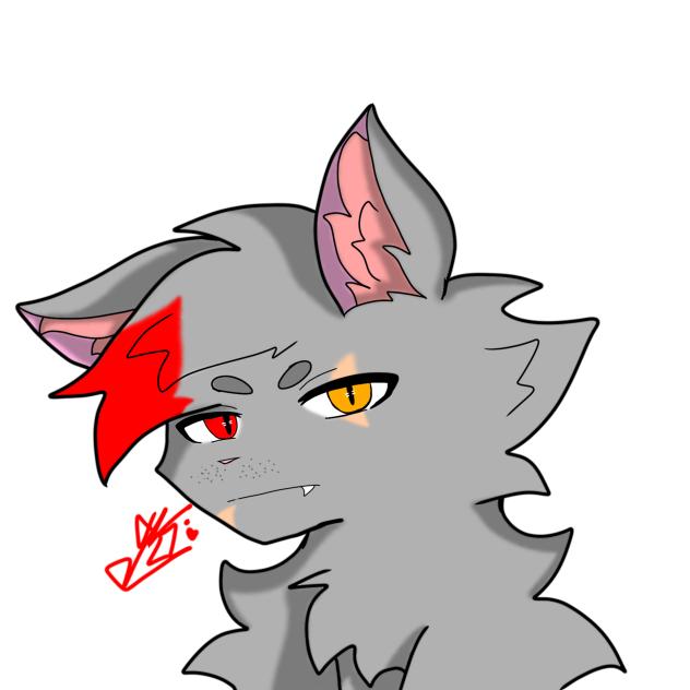 Danny as a cat