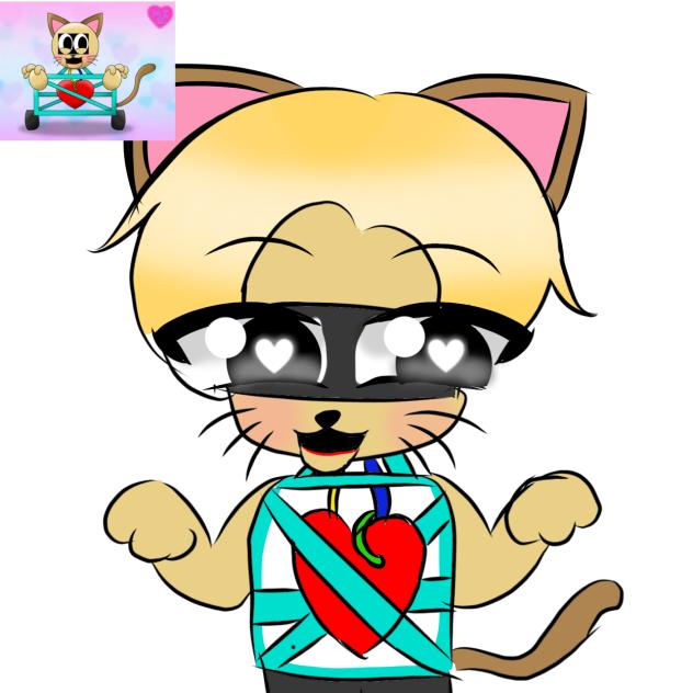 1st prize the cute cat ☺️💓😺