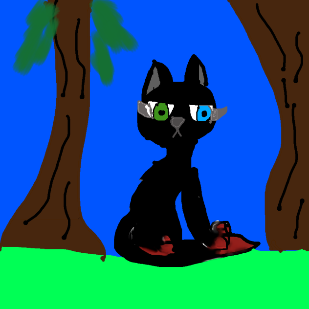 My first warrior cat Oc