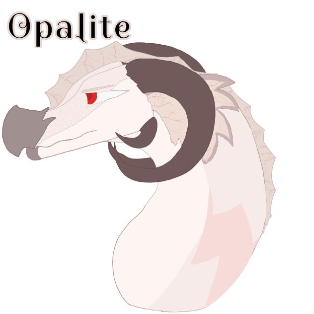 Opalite The Dragon