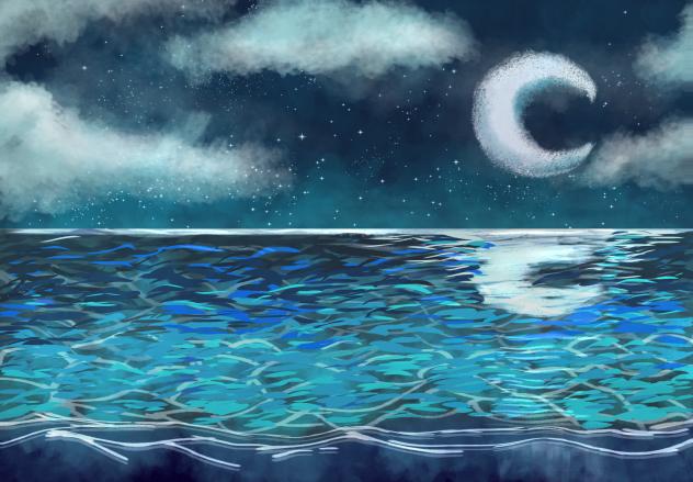 The Lost Sea