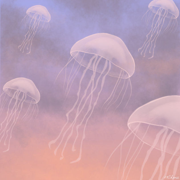 해파리