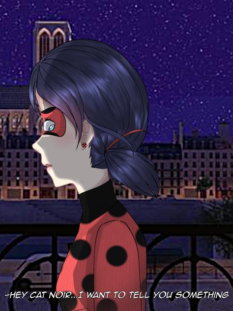 Ladybug