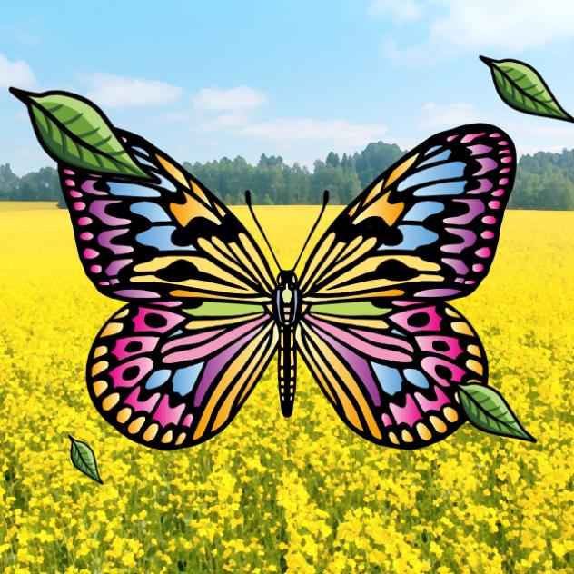 ちょうちょ🦋