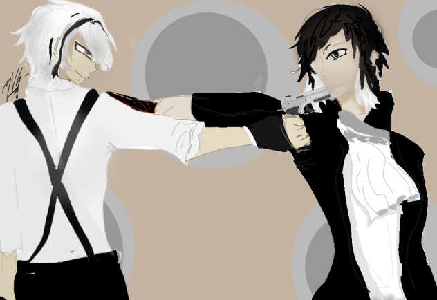 shinsoukoku