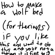 Wolf bed🥰😘😍😇🐺🐾