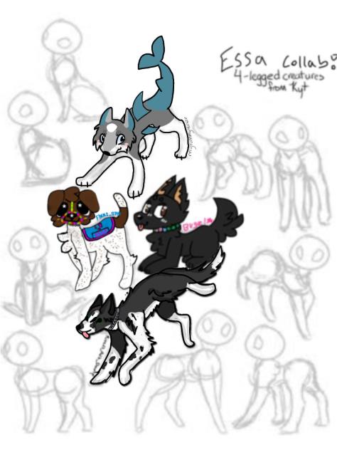 Essa collab