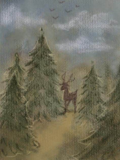 forest