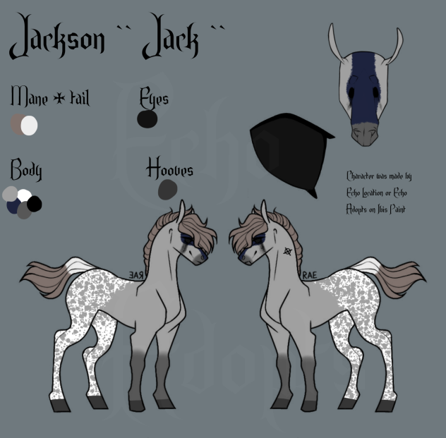 Jackson - Reference Sheet