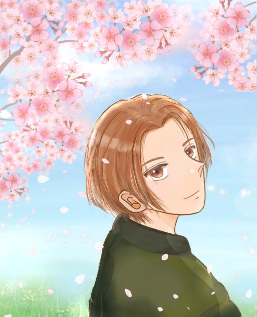 桜。