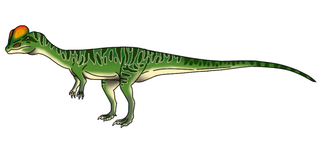 Dilophosaurus wetherilli2