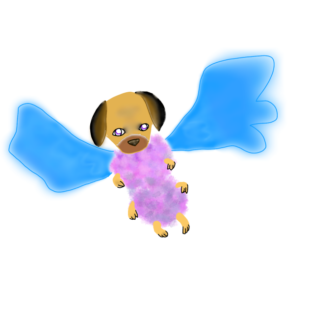 dog butterfly