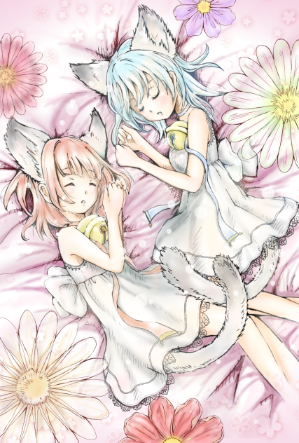 ねこっぽい子達