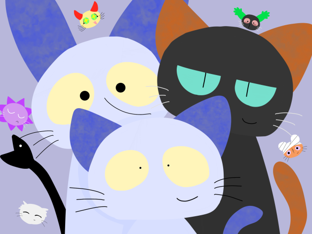 ねこのティーチくんの日！