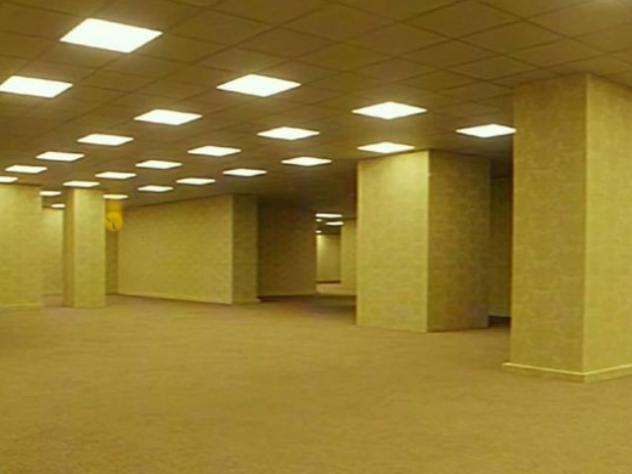 - The Backrooms - wip