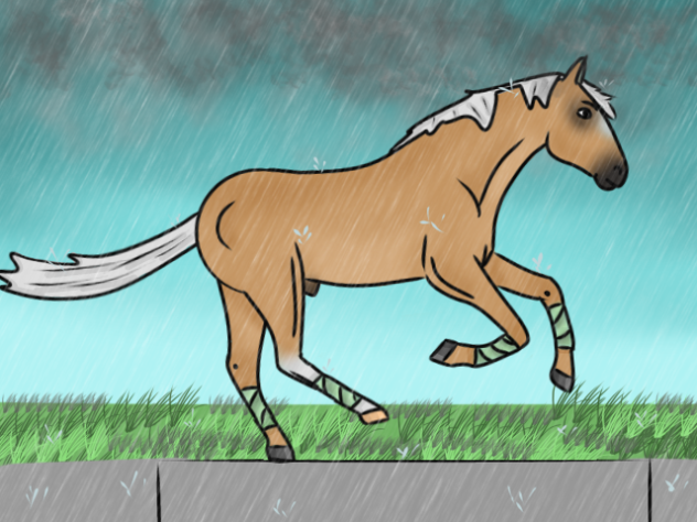 galloping horse!! #1