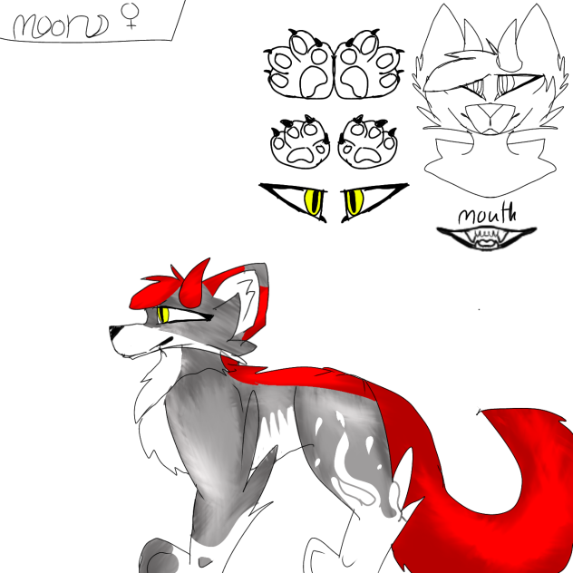 unfineshed ref of moon