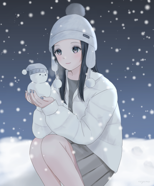 雪の降る日