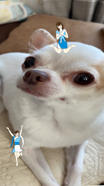 うちのわんころに…