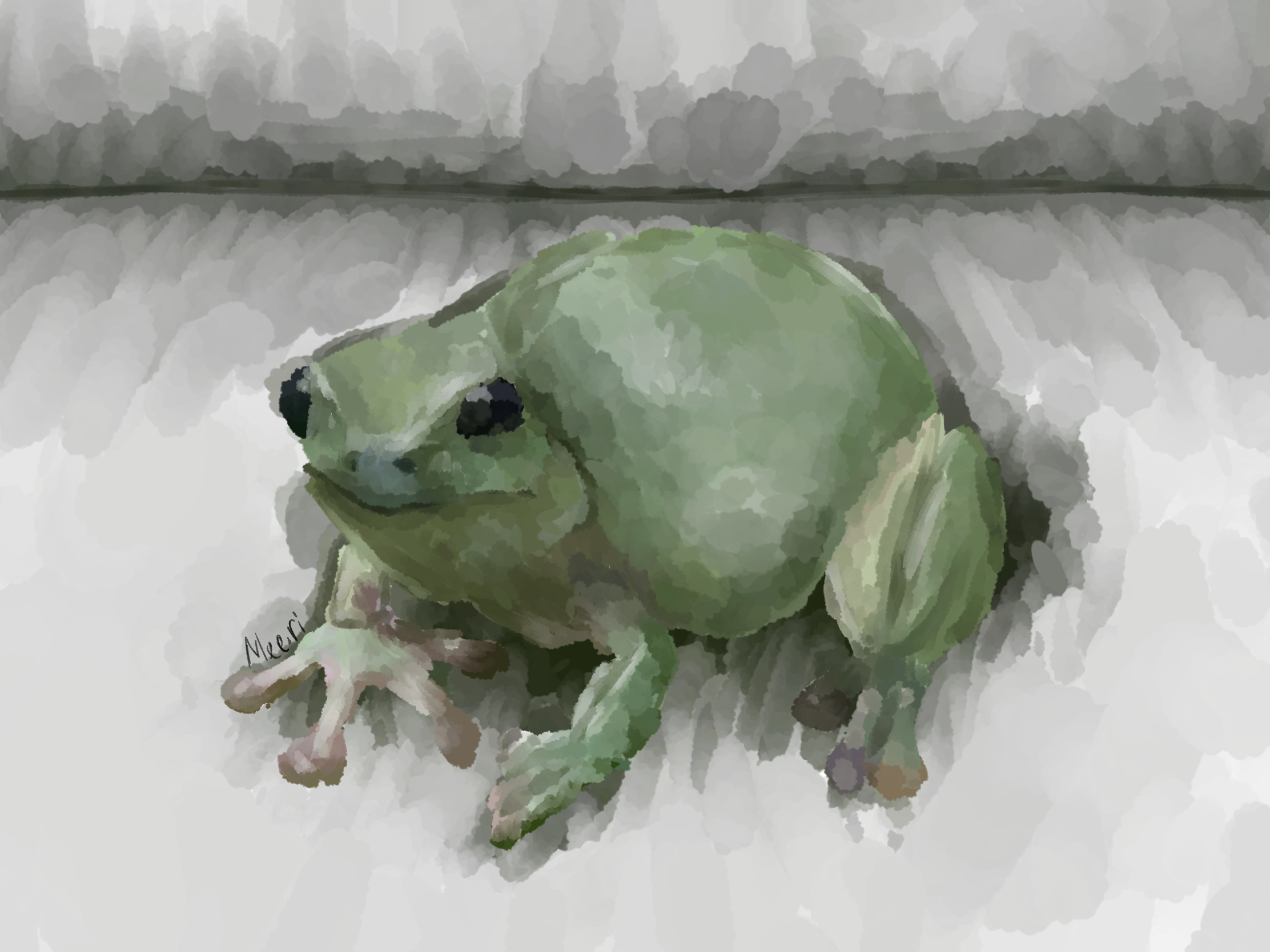 realism practice two - ibisPaint