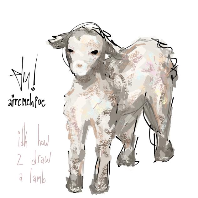 lamb