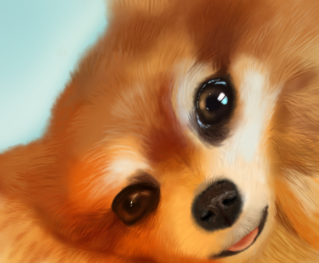 Pomeranian