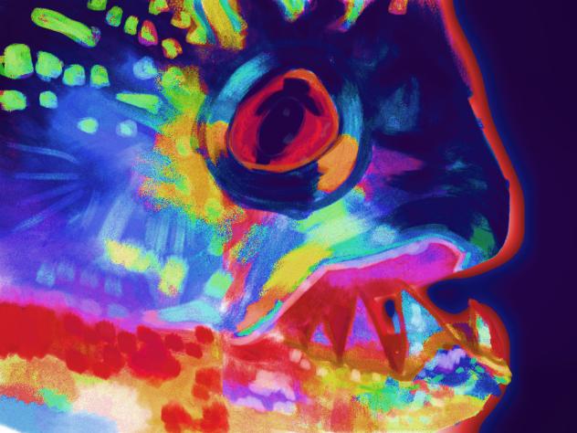 Colourful piranha 🐟