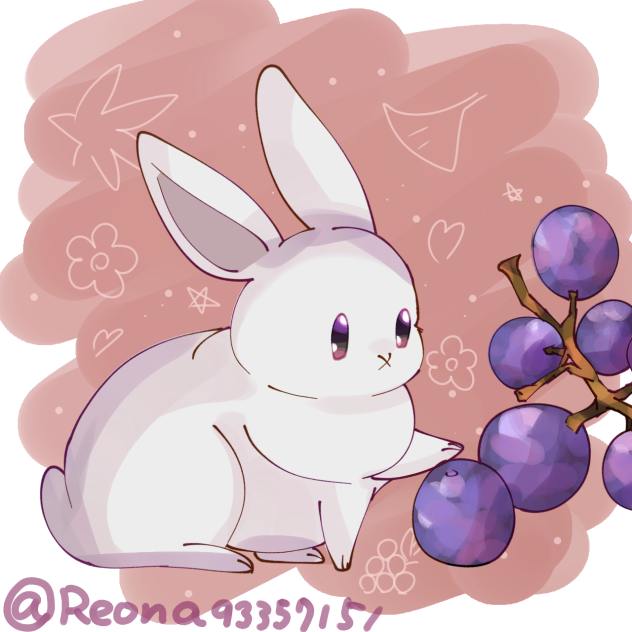 うさぎブドウに出会う