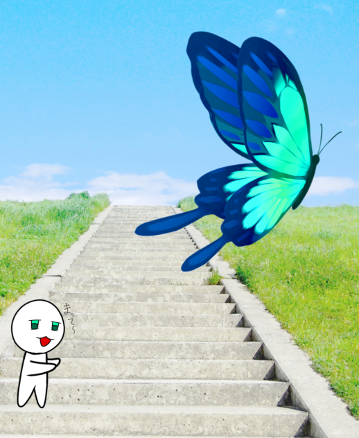 綺麗な蝶。　じゃなくて…