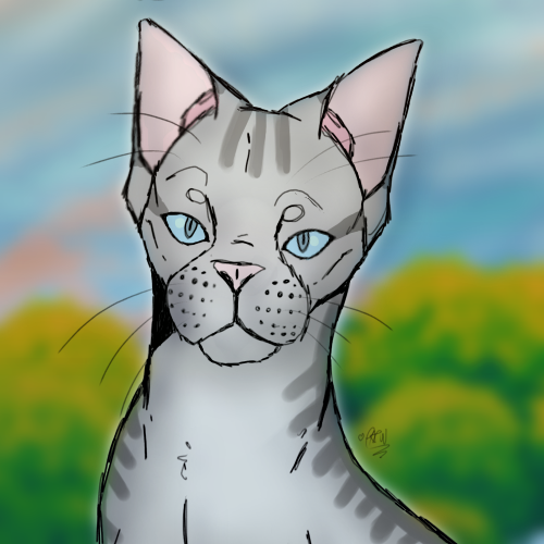 ❤️ Realistic Cat ❤️