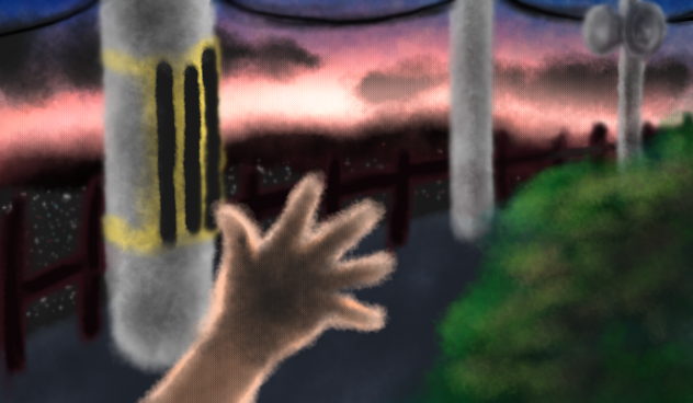 夕方頃
