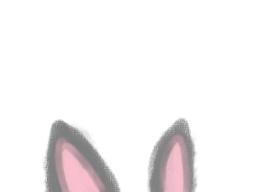 Bunny!
