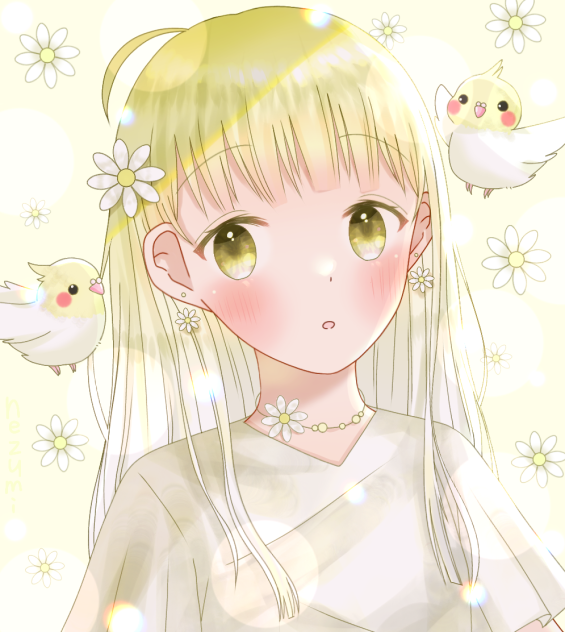 🌼オカメインコ💛