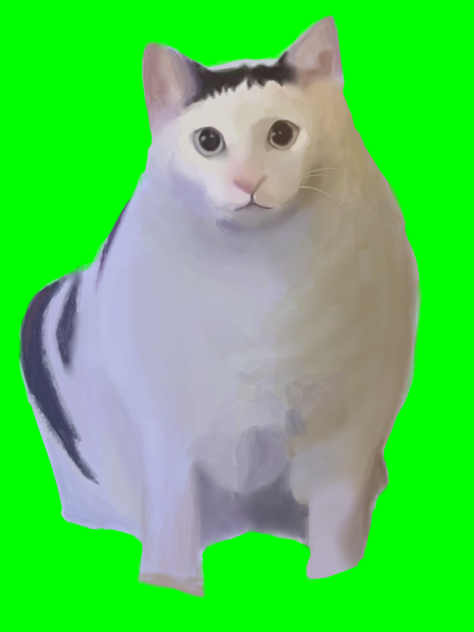 Hah猫