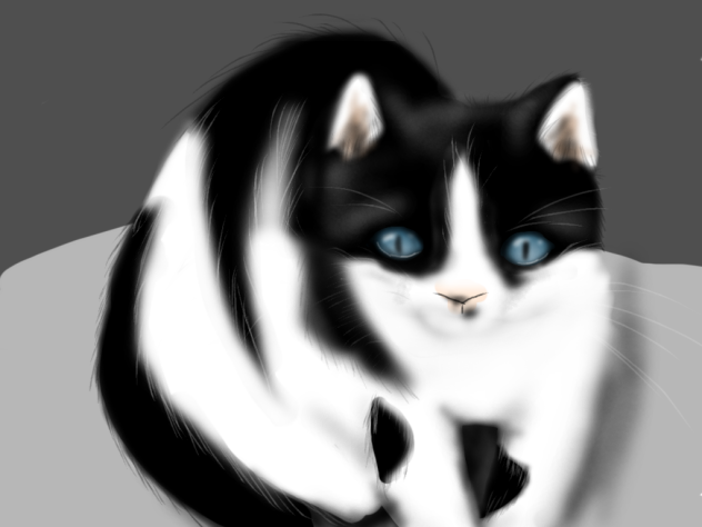 チビちゃん