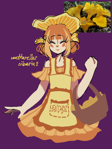 funguary; chanterelle