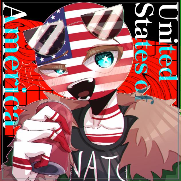 🇺🇸アメリカ🇺🇸