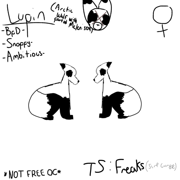 Ref sheet for a contest on my YT