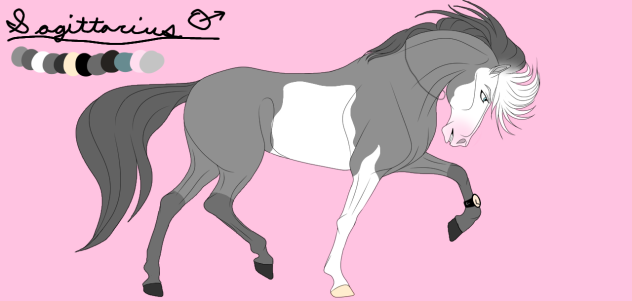 Sagittarius - Design