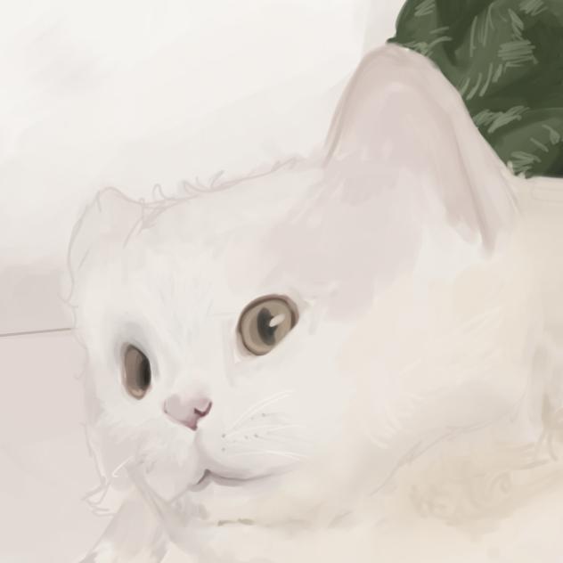 Sugar (for Sz)