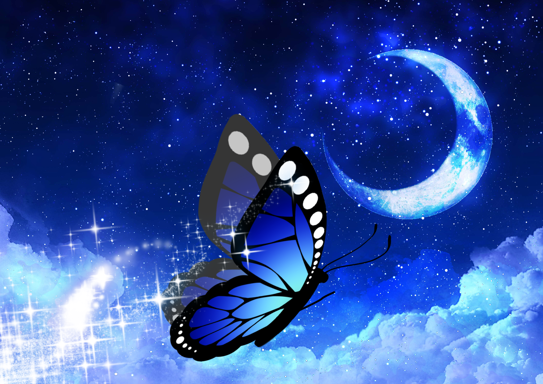 月夜の蝶 - ibisPaint