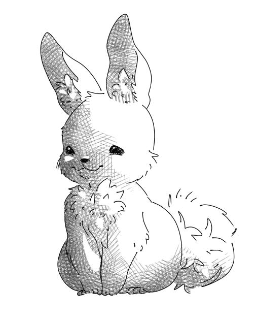 bunny rabbit