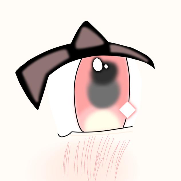 本気で目書いてみた