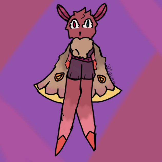 Allora the moth