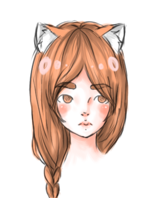 fox boy - ibisPaint