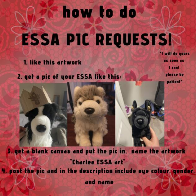 how to do ESSA pic requests!!!