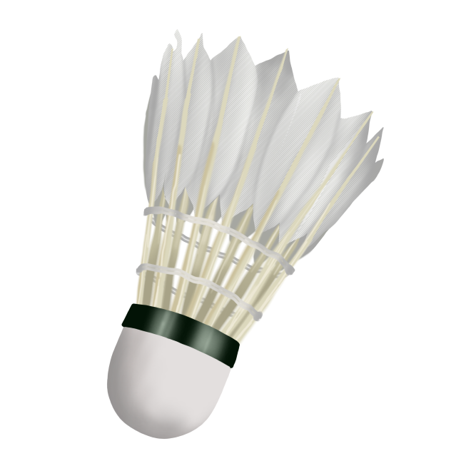 Badminton 🏸